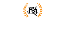 Vidéaste professionnel